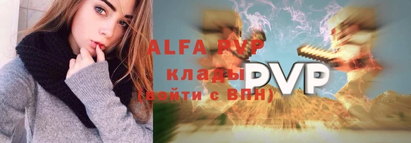 крисы Алексин