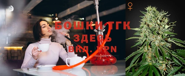 крисы Алексин