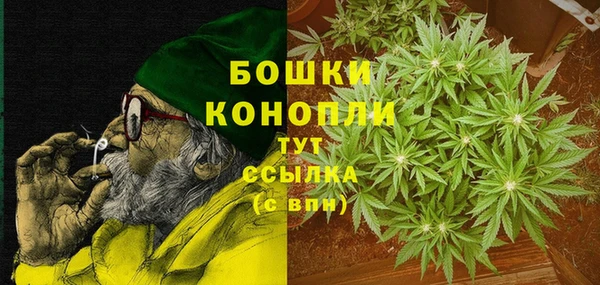 гидра Новодвинск