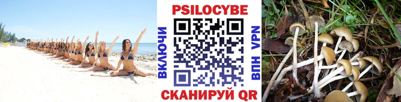 Псилоцибиновые грибы мухоморы  блэк спрут зеркало  Устюжна 